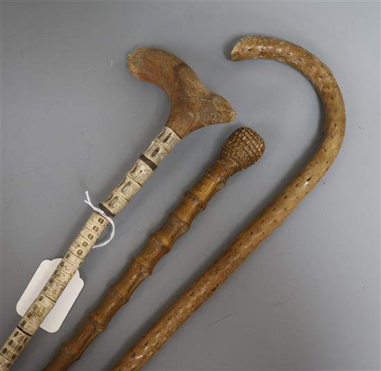 A collection of walking sticks